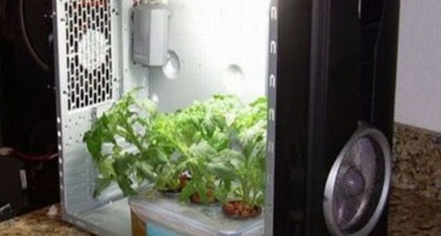 grow-room-artigianali_635x600